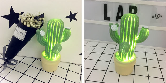 A lámpa formájában egy kaktusz