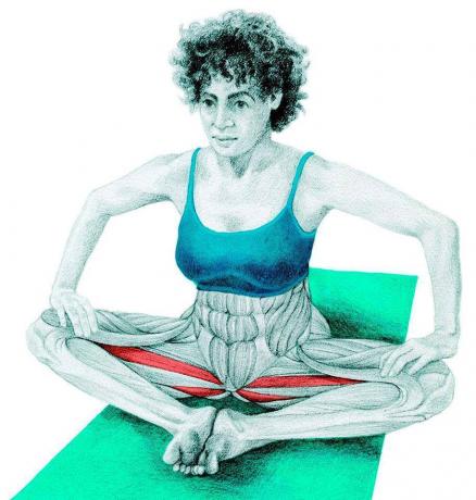 Anatomy of stretching, "pillangó"