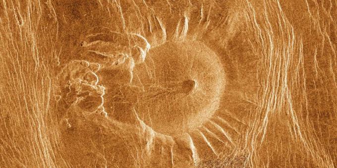 Képek a tér: a kullancs a Vénuszról