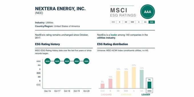 ESG besorolás és dinamikája a NextEra Energy számára, $ NEE, 2021 május.