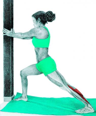 Anatomy of stretching: stretching a borjú