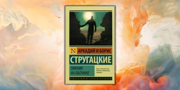 Könyvek a fiatalok számára. „Piknik az árokparton”, Arkagyij és Borisz Sztrugackij
