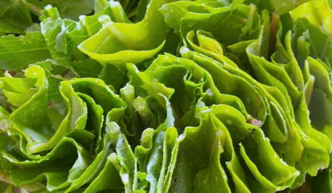 Egészséges ételek: leveles zöldségek