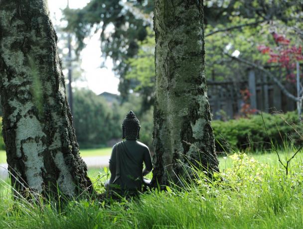 Szorongásos zavar is meghódította a meditációban