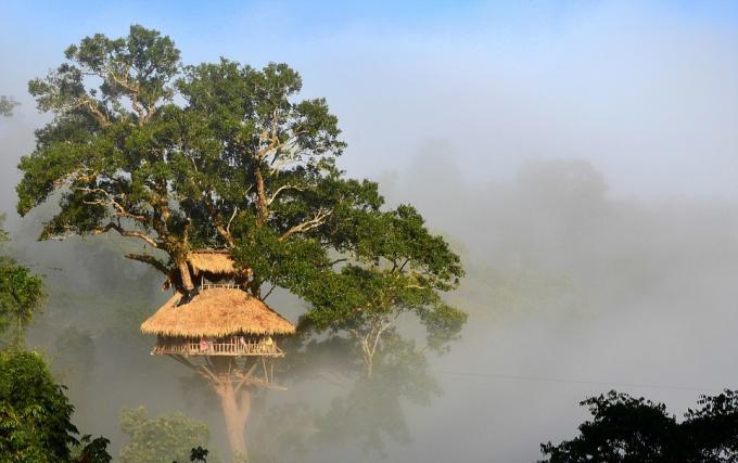 Bokeo Nature Reserve, Laosz
