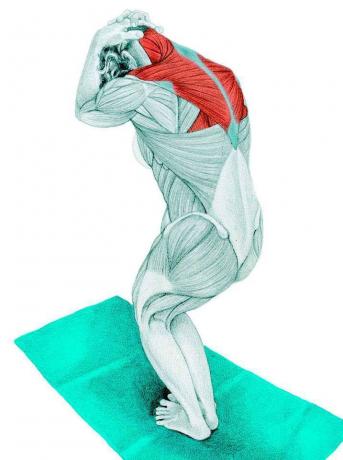 Anatomy of stretching: stretching a nyak álló helyzetben