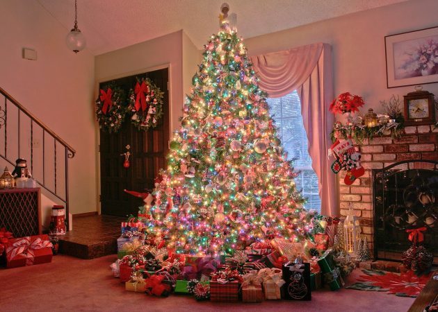Díszítő karácsonyfa: hogyan kell telepíteni