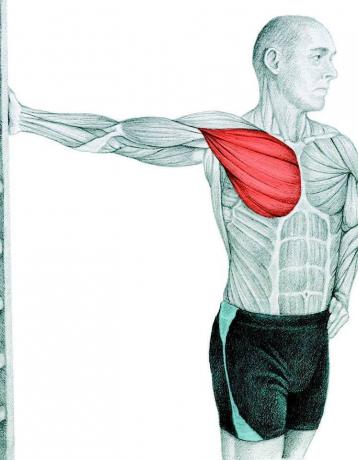 Anatomy of stretching: stretching a mellkas izmok a falon