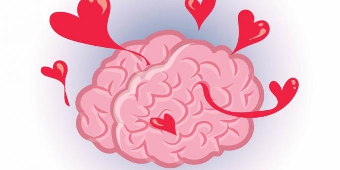tények az agy: szerelem