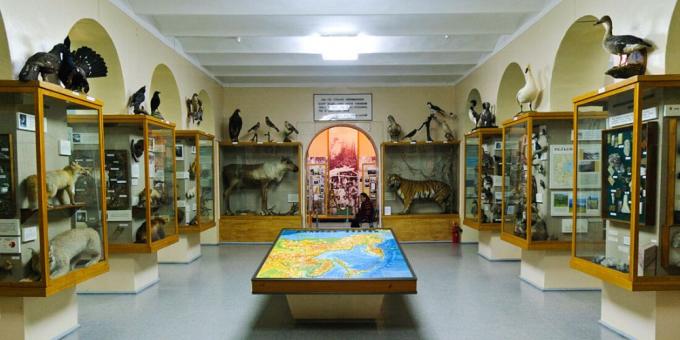 Saratov Regionális Helytörténeti Múzeum
