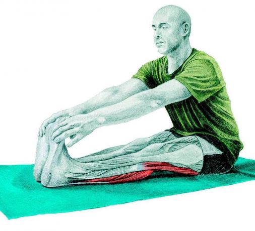 Anatomy of stretching: hosszirányú hajtogatása