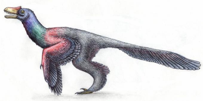 Ősi mítoszok: a dinoszauruszok hüllőknek tűntek
