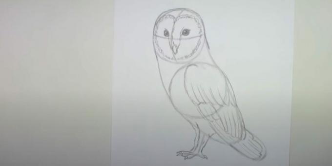 Bagoly rajzolása: rajzold meg a második mancsot és rajzold körbe a szárnyat