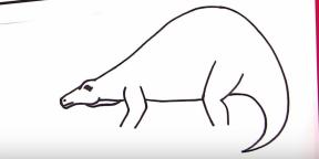 30 módszer a különböző dinoszauruszok rajzolására