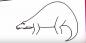 30 módszer a különböző dinoszauruszok rajzolására