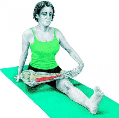 Anatomy of stretching: galamb ülő testhelyzet