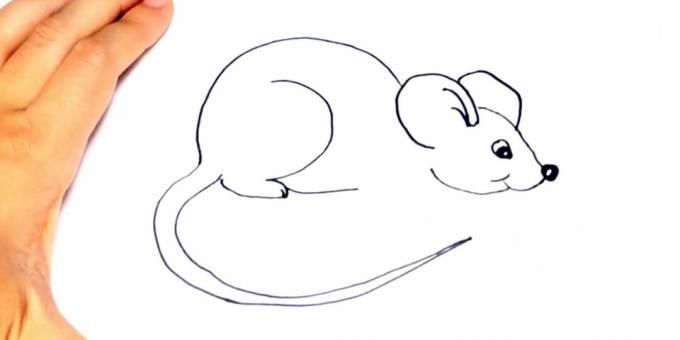Patkány rajzolása: rajzoljon mancsot és hasat