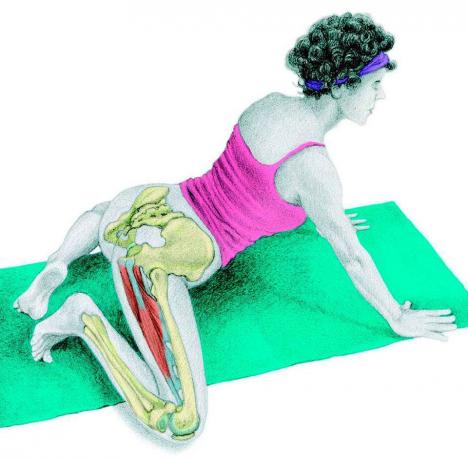 Anatomy of stretching: "béka"