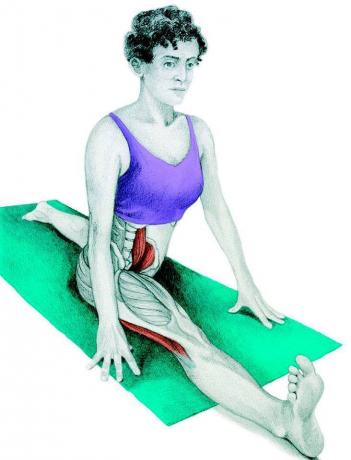 Anatomy of stretching: hosszanti hasíték