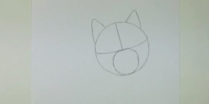 Rajzolj egy kört, és jelölje meg a kisebb fülbe