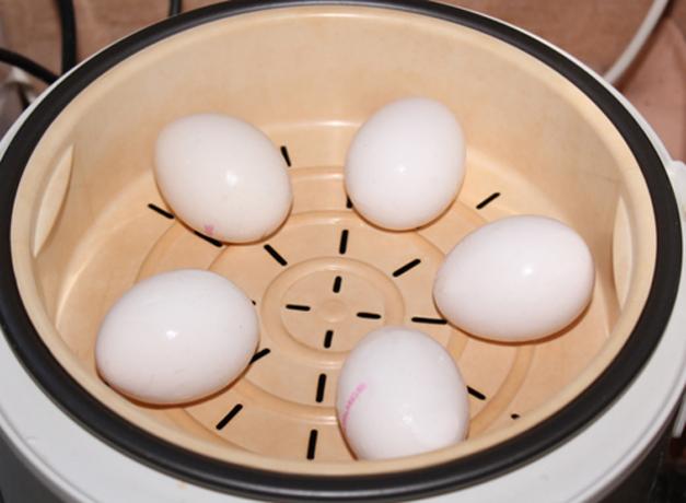Hogyan kell főzni a tojást egy dupla kazán vagy multivarka