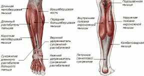 VIDEO: 4 gyakorlatok megelőzésére gyulladás a csonthártya