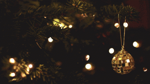 Élő karácsonyfa