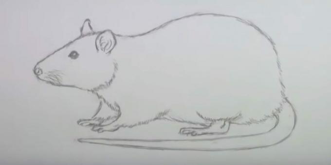 Hogyan rajzoljunk egeret: törölje a vázlatokat
