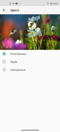 Motorola Moto G8: képernyő