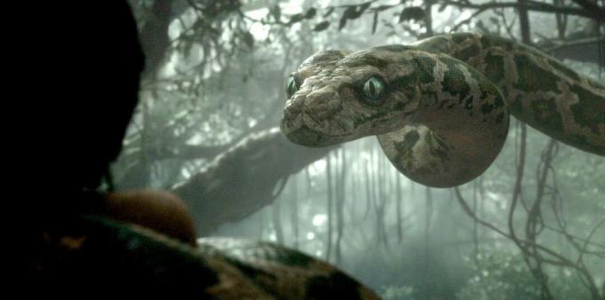 Felvétel a kígyókról szóló filmből "A dzsungel könyve"