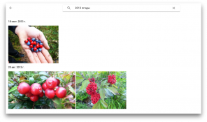 10 érv a Google Fotók tárolására fotók