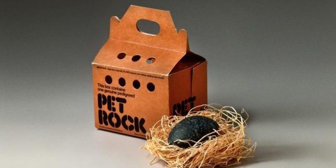 Üzleti Ötletek: Pet Rocks