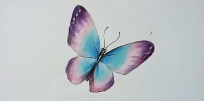 Add tovább telített színek lila pillangó szárnyak