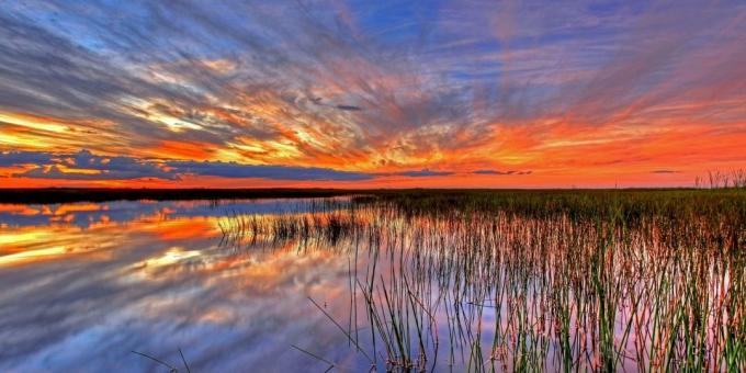 Everglades Nemzeti Park, USA