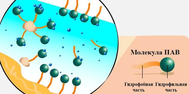 A micelláris víz: felületaktív anyag molekulája