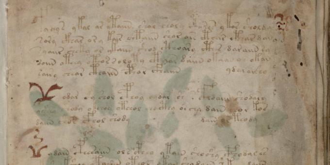 A történelem rejtélyei: a Voynich -kézirat