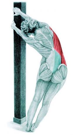 Anatomy of stretching: stretching lat a falnak