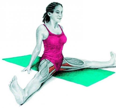Anatomy of stretching: keresztirányú szaggatott előre