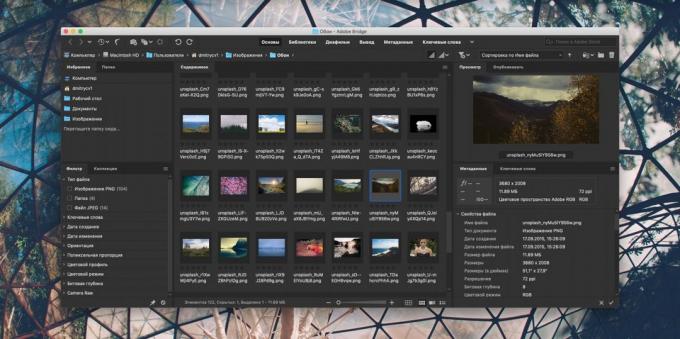 Hogyan szervezzünk egy gyűjtemény fotók: Adobe Bridge