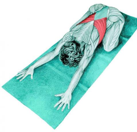 Anatomy of stretching: póz gyermek