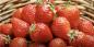 Mikor és hogyan kell epret ültetni a palántákhoz, hogy idén bogyókat szedjünk