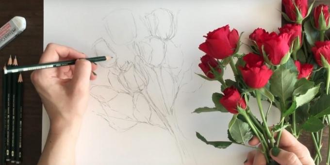 Festék a szirmok és a csészelevelek alján két rózsa. A bal oldali képen néhány levél