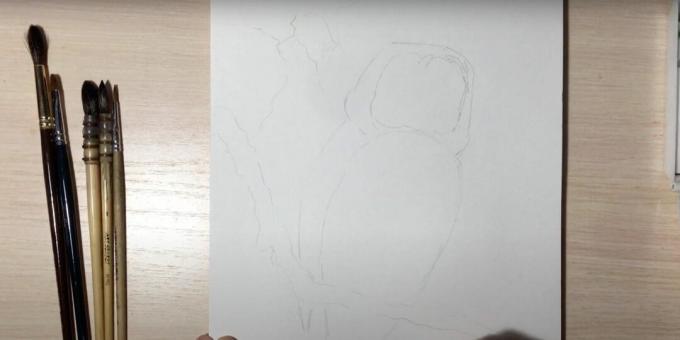 Bagoly rajzolása: vázolja fel egy bagoly ágát és testét