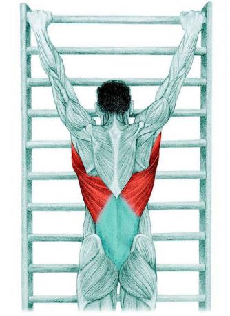 Anatomy of stretching: nyújtás spinális vontatási