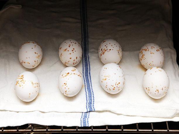 Hogyan kell főzni a tojást a sütőbe