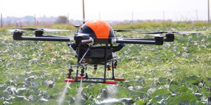Drone segít a nőnek a növények