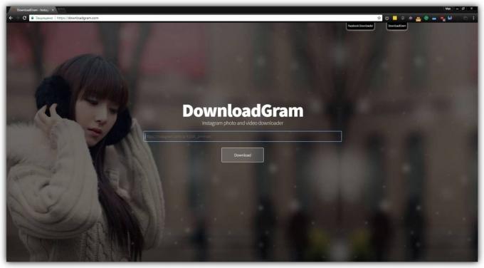 Hogyan lehet letölteni fényképeket Instagram segítségével DownloadGram