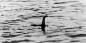 A tudósok beszéltek a Loch Ness-i szörny DNS