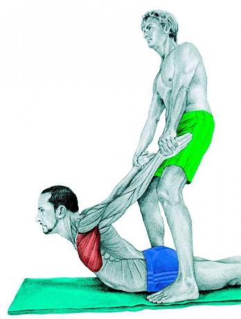 Anatomy of stretching: nyújtás a mellizmok