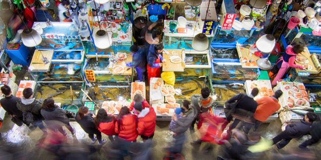 Látnivalók Dél-Korea: szükség van, hogy látogassa meg a halpiac